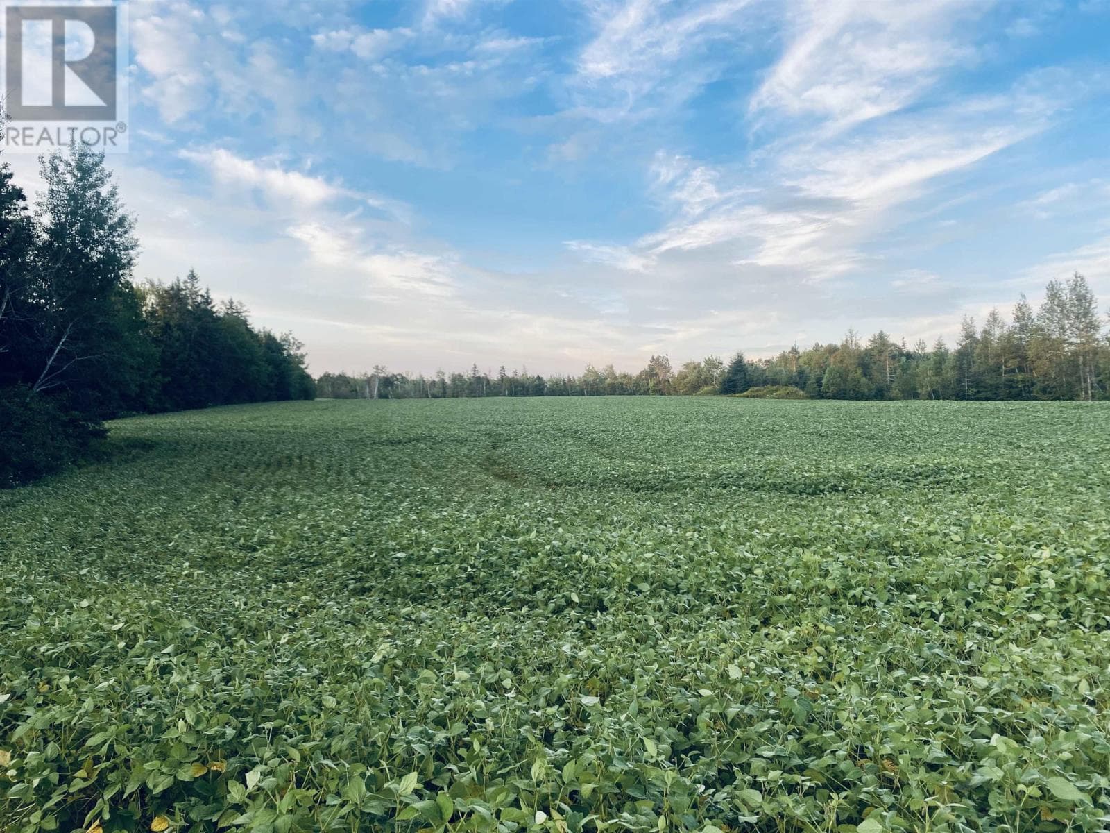 Lot Seven Mile Road