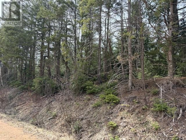 Lot Portage Road