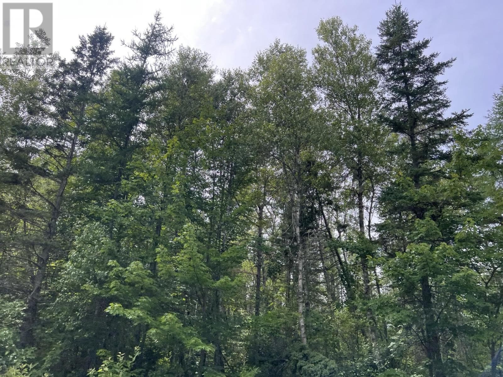 Rte 12 Tyne Valley