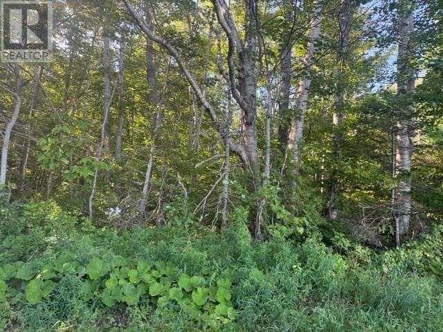 2832 RTE 14