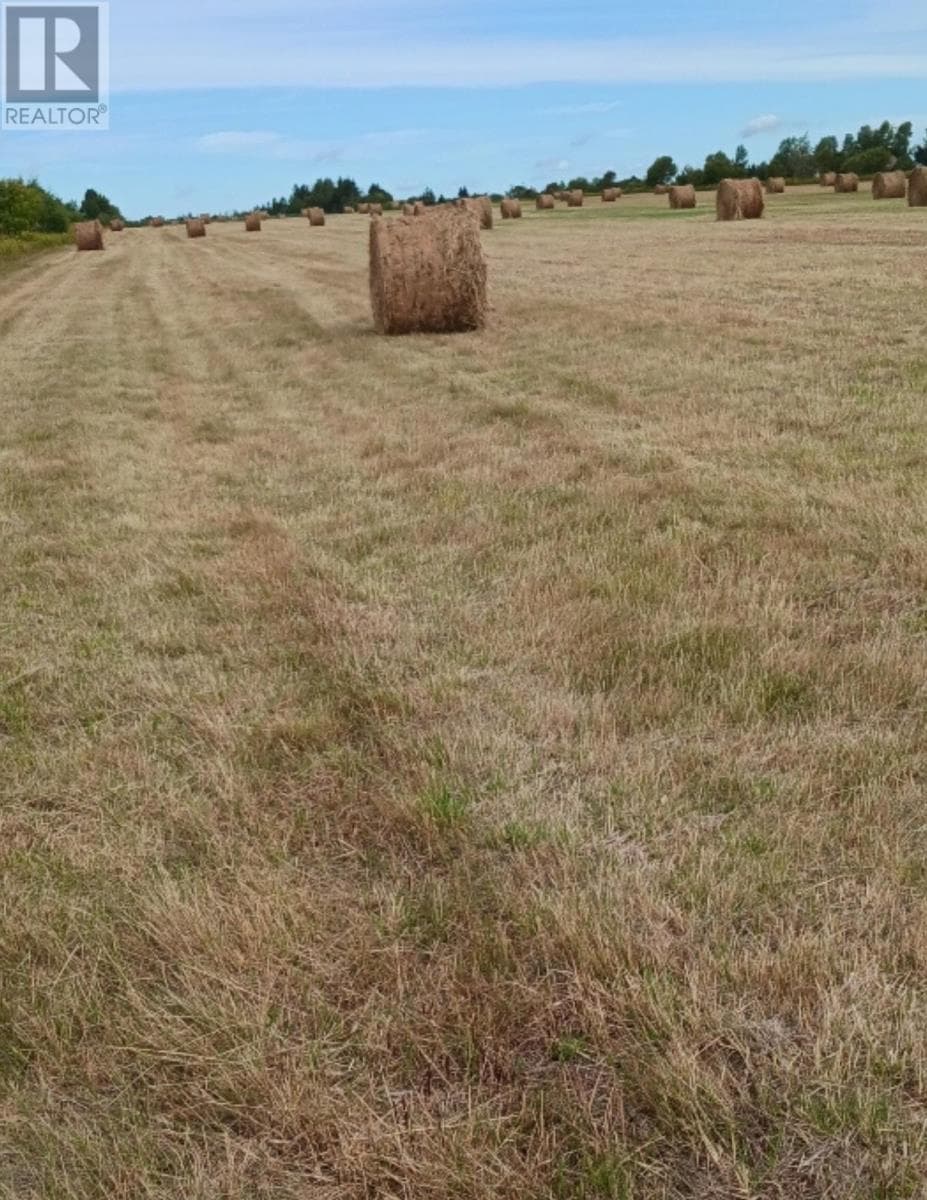 Acreage Cape Bear Road