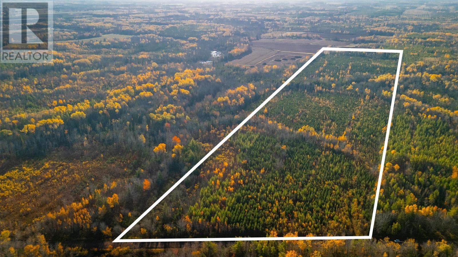 Acreage Doyle Road