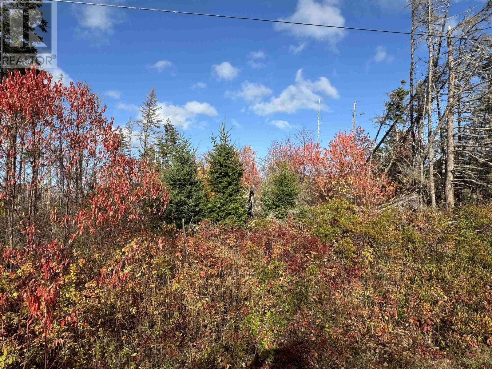Lot Willow Lane