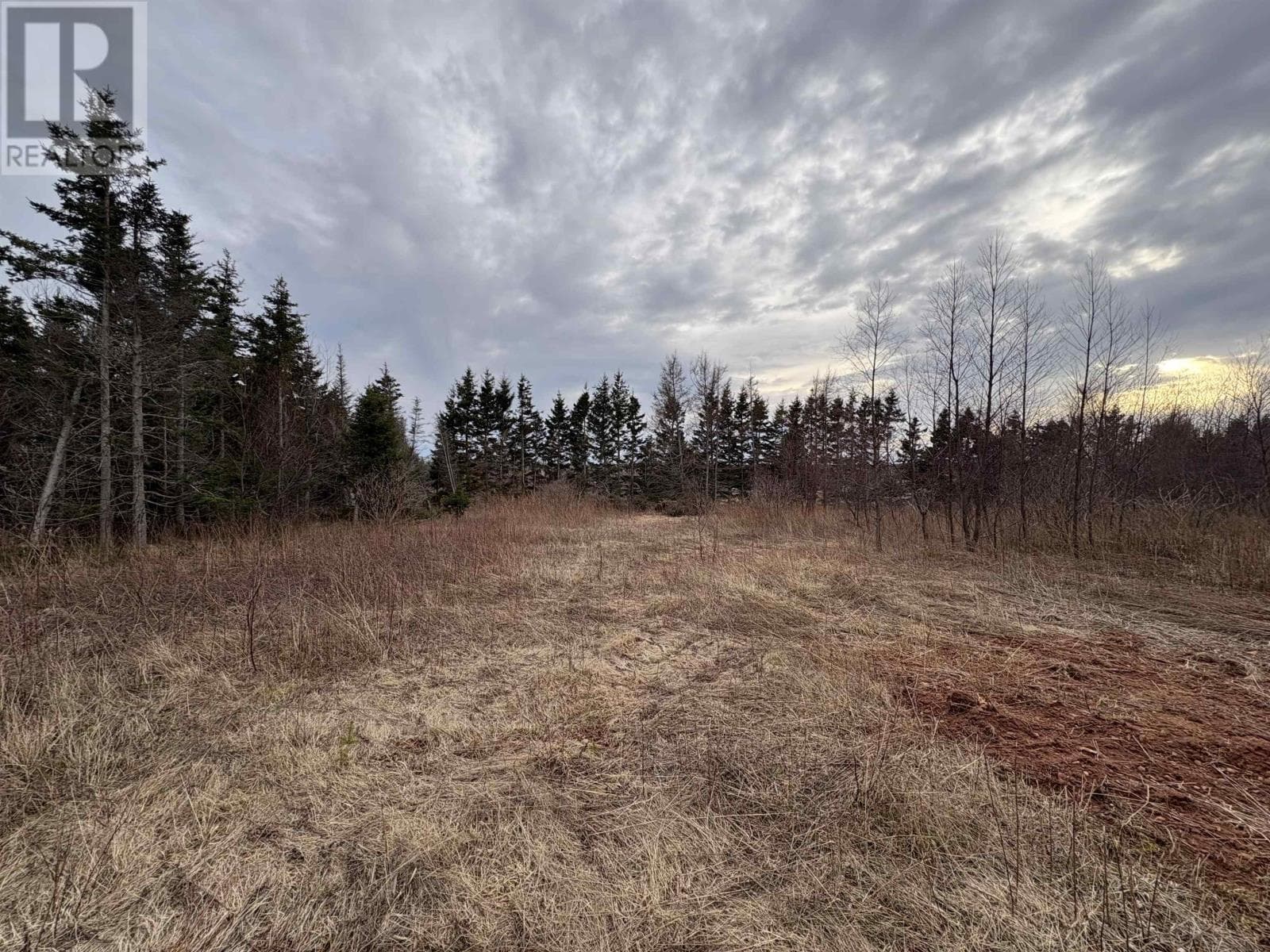 SELKIRK PARK Road