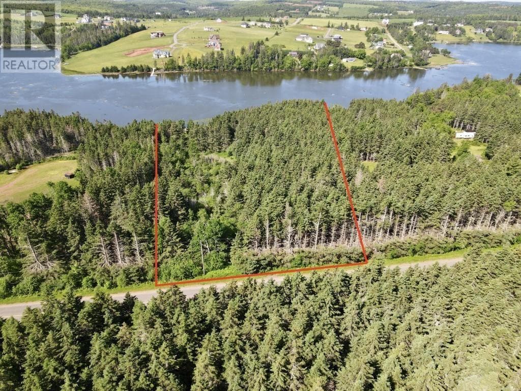 Trout River Road