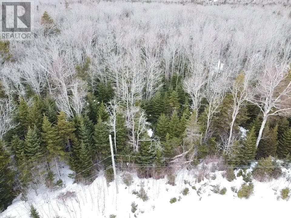 Shady Acres