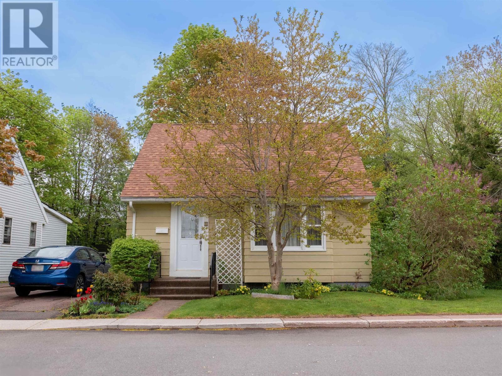 8 Alexander Drive