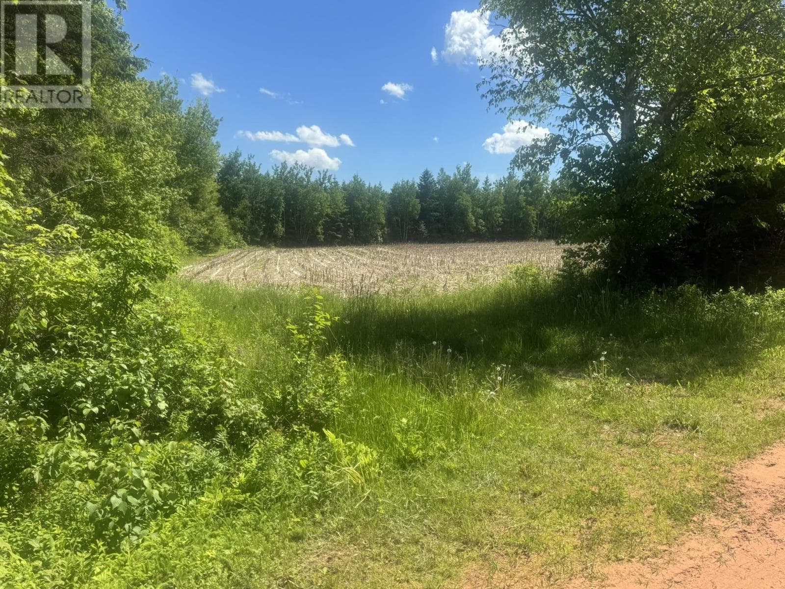 Buffalo Road
