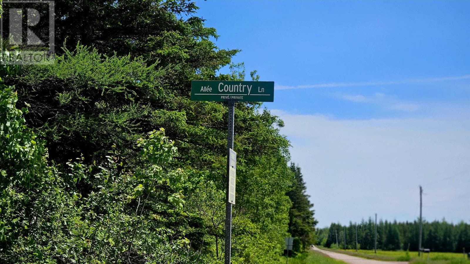 Country Lane