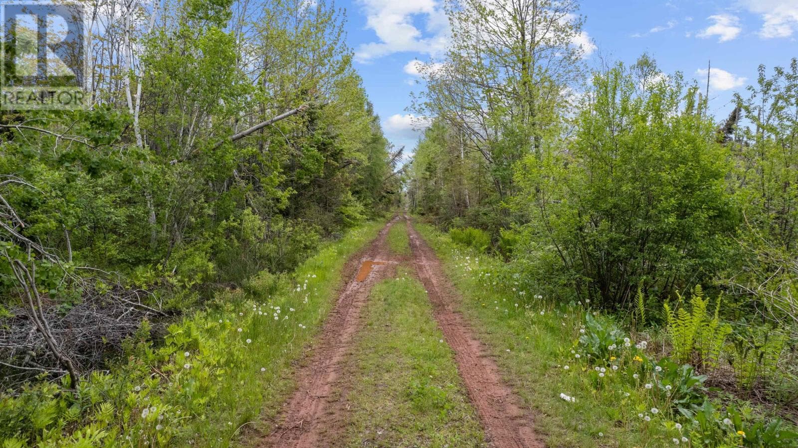 0 Adams Road
