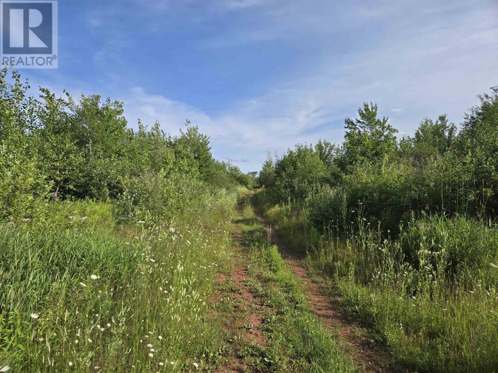 Acreage Deblois Road