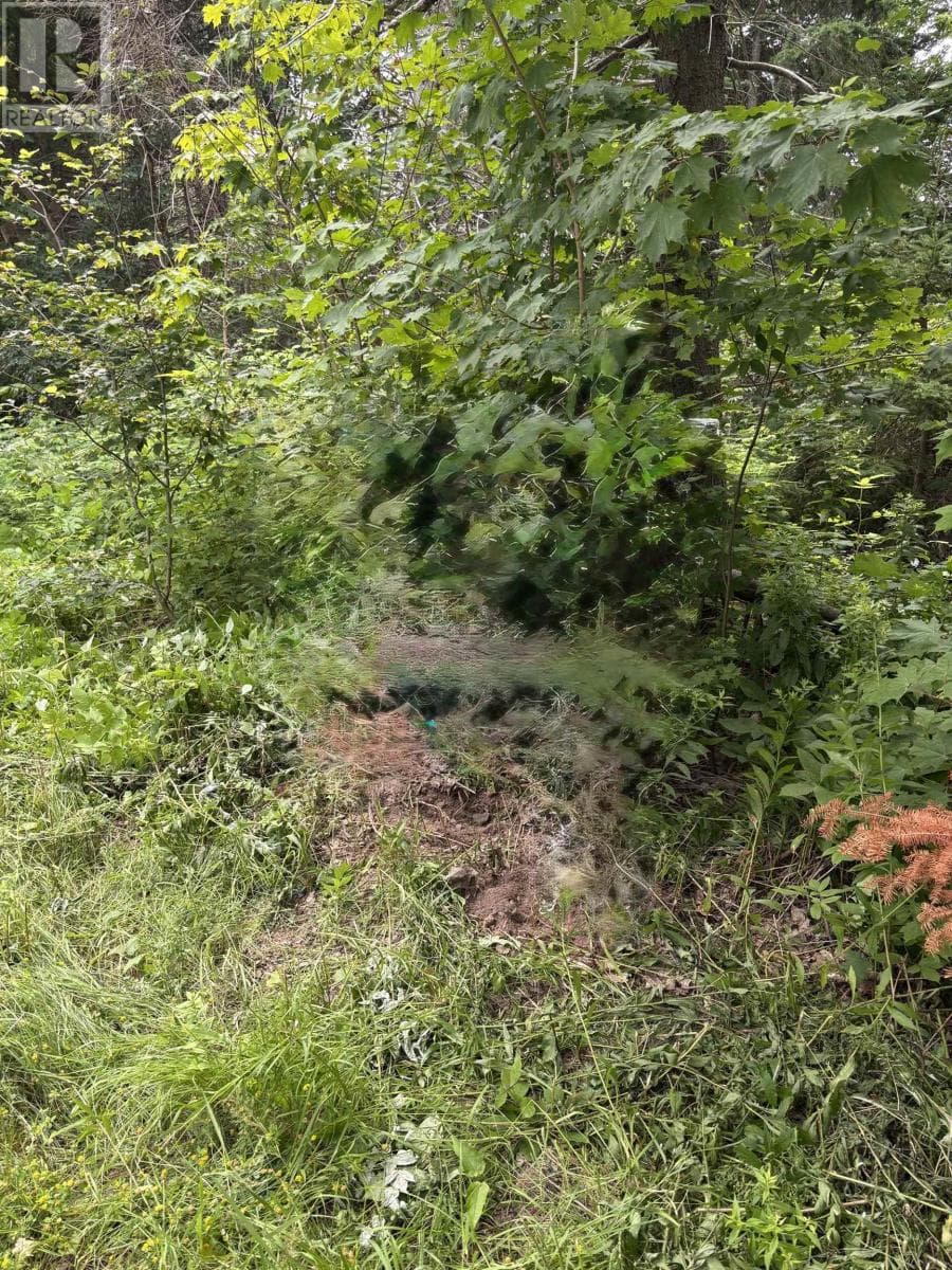 Lot Campbell Road
